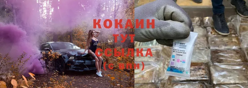 Cocaine Fish Scale  Кинель 